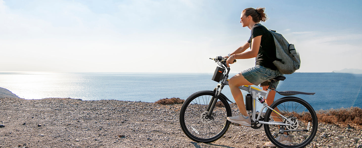 Cheap Electric Bikes