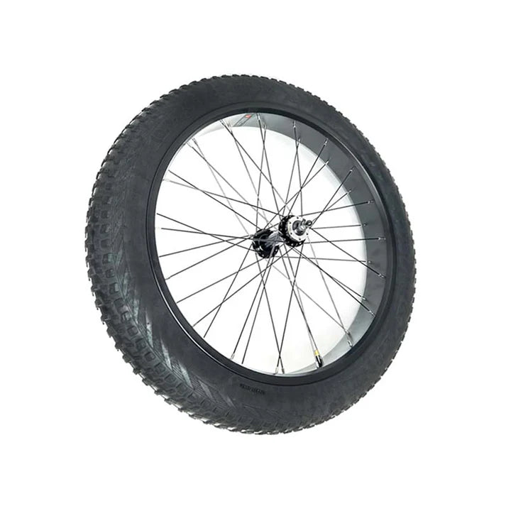 Varun Electric Bicycle Wheels Set