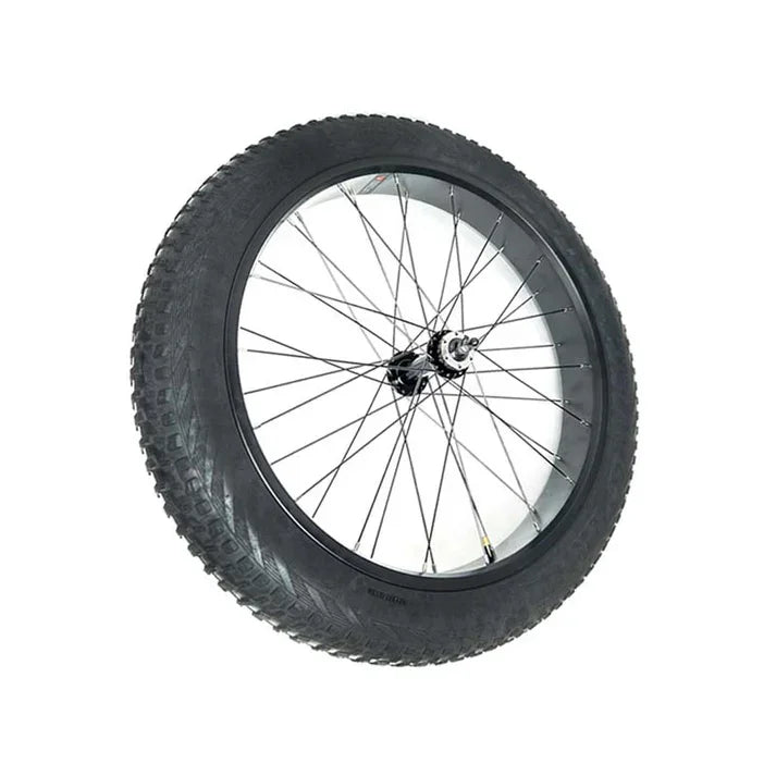 Close-up of a black fat tire bicycle wheel with metal spokes on white background