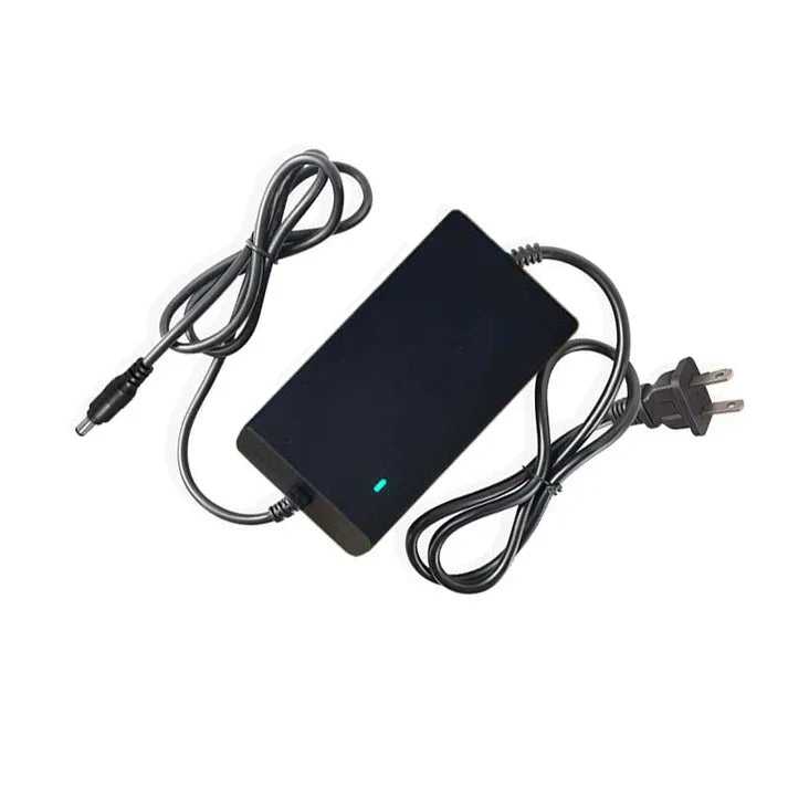 Black electric bike charger with power cord and plug on white background