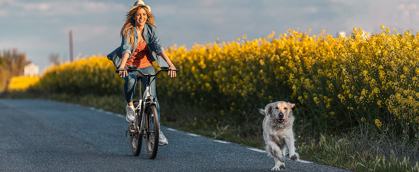 Commuter EBikes