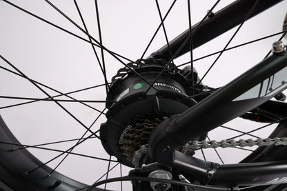 Varun Front and rear wheel spokes – Varun Electric Bike-US Varun Front and rear wheel spokes – Varun Electric Bike-US